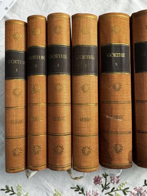 Goethes Werke in 10 Bänden“ – Bücher gebraucht, antiquarisch & neu